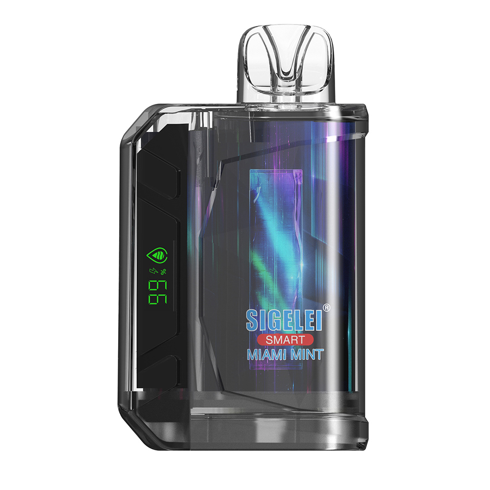 sigelei-smart-ac10000.jpg