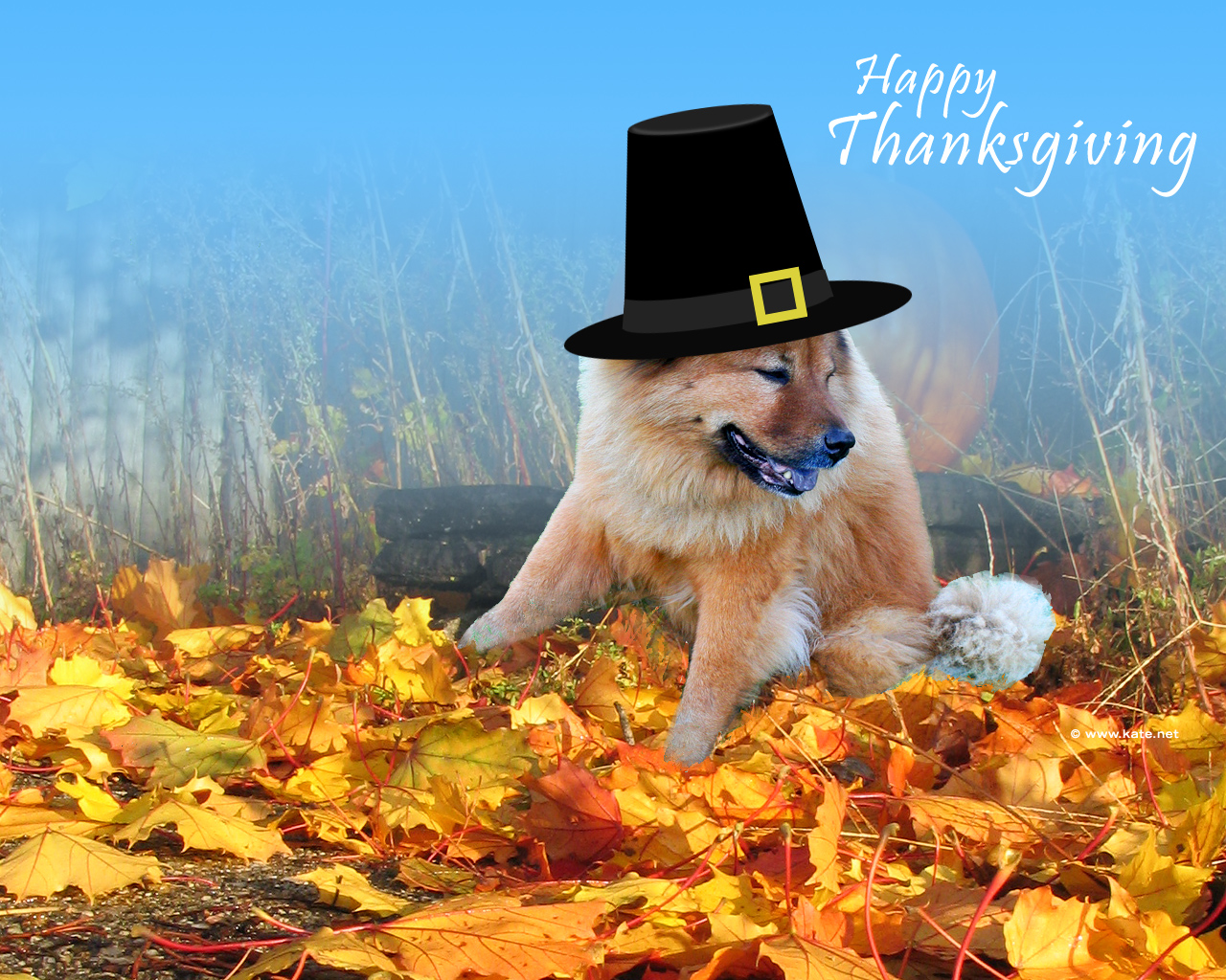 thanksgiving.jpg