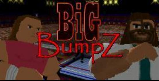 Big-BumpZ-Real-World-Patch_1.jpg