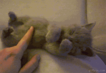 cjkZF6o.gif