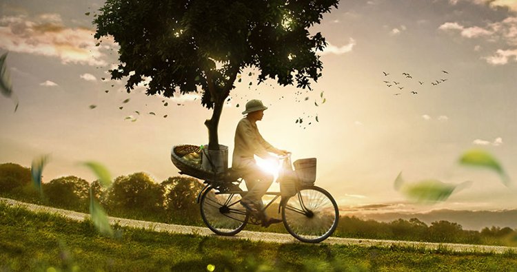 photo-manipulation-tree.jpg