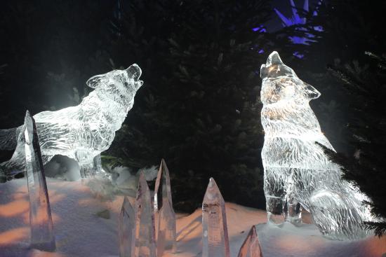 winter-wonderland.jpg