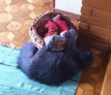 spin-the-basket-pro