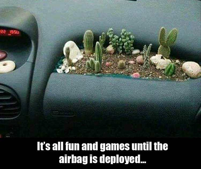 dashboard-garden-airbag.jpg