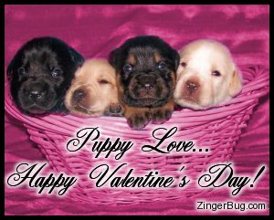 Free-Valentine-Puppies-Wallpaper.jpg