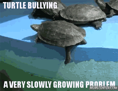 Raising+Awareness+For+Turtle+Bullying.gif