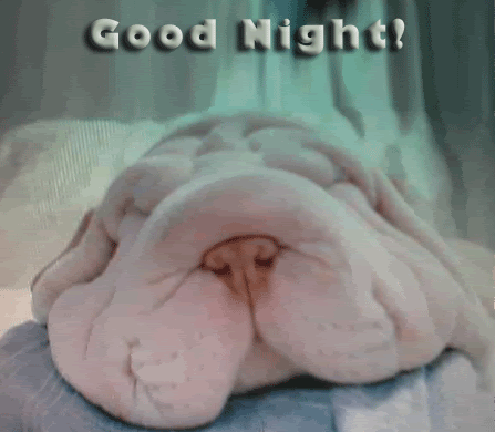 Good-Night-Cutie.gif