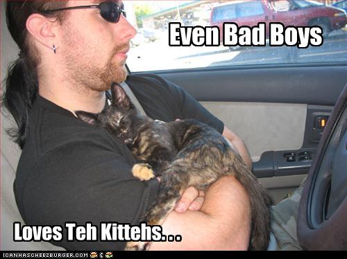 funny-pictures-bad-boys-love-cats.jpg