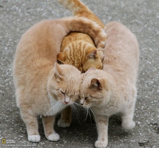 group-hug-e1324736447271.jpg