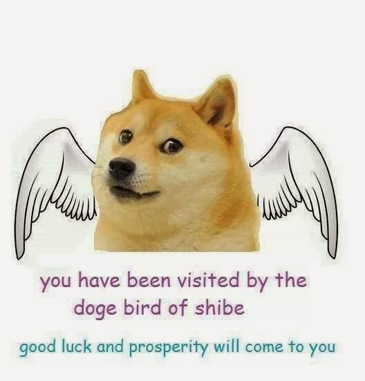 doge-bird-of-shibe-good-luck.jpg