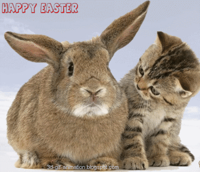 Happy+Easter+Photo+Gif+Funny+Animated+Kitty+Bunny+Ears+Cat+Cats+Kitty+Kitten+Kittens+Bunny+funny+animal+animals+animated+animation+animations+gif+gifs+LOL+cute+laughs+laugh+laughing+gif+image.gif