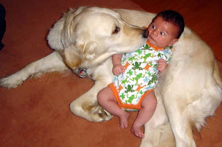 Doggy+Babys+funny_3.jpg