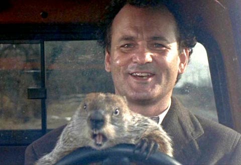 Groundhog-Day-BillMurray_MakeupUniversity.jpg