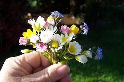 C.+May+4+09+Spring+bouquet+of+wildflowers.jpg