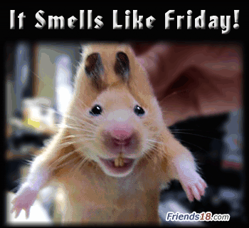 Smells+Like+Friday.gif