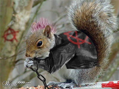 squirrel+punk.jpg