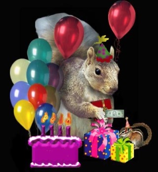 bdaysquirrel.jpg