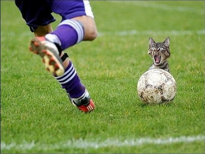 Kick+the+cat.jpg