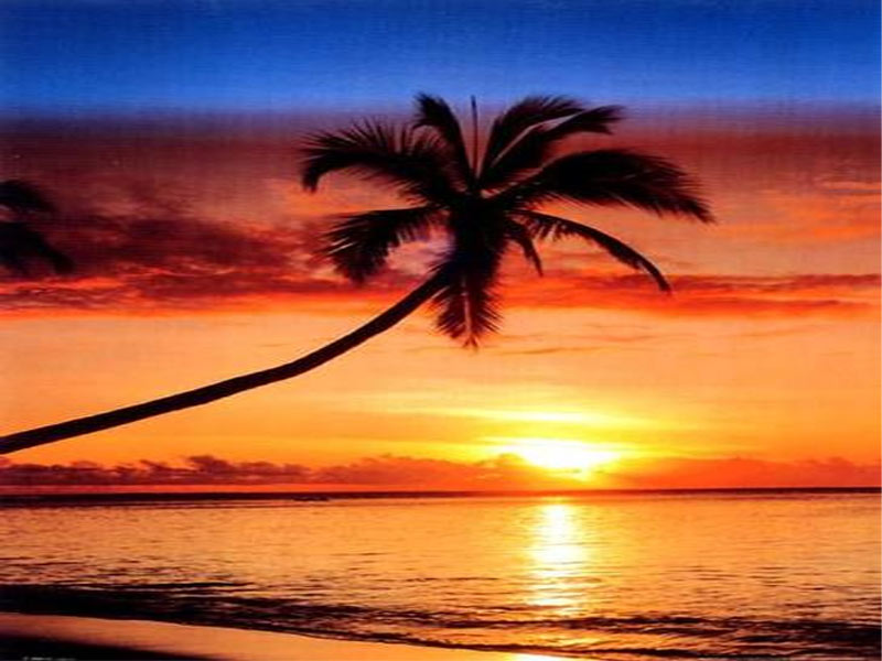 sunset-with-horizontal-palm1.jpg