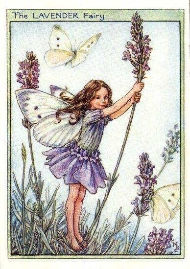 lavender_flower_fairy.jpg