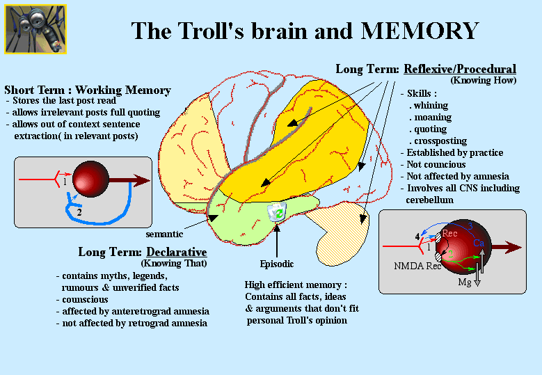 Troll's%2520Brain%2520and%2520memory.gif