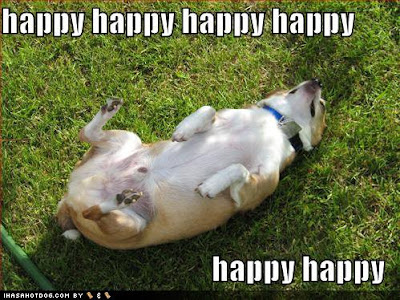 loldog-happy-dog-pictures-happy-happy-happy.jpg