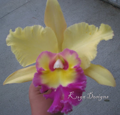 Yellow+and+hot+pink+Orchid+wedding+kuga+designs.jpg