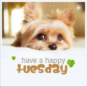 1852678269-83895-Have-A-Happy-Tuesday.jpg