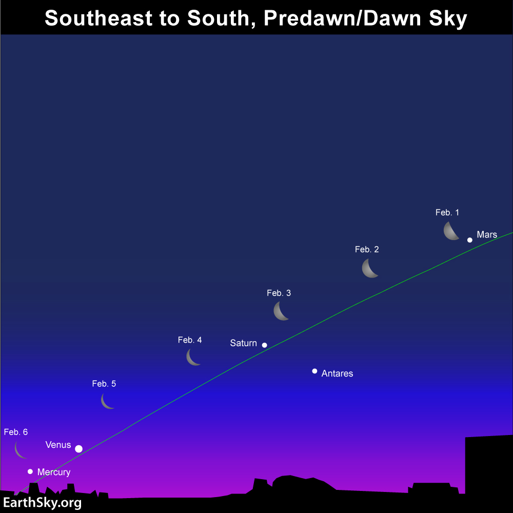 special-5-planets-chart-2016-february-1-to-6-1000.jpg