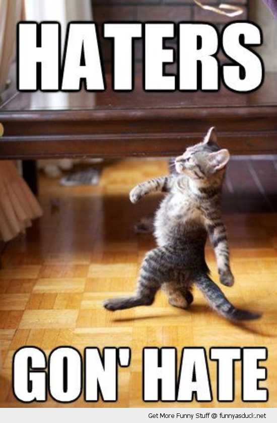 funny-haters-gonna-hate-cat-pics.jpg