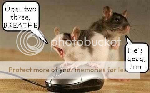 Mice.jpg