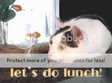cat_lets_do_lunch.jpg