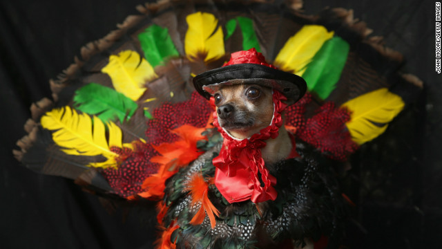 121029090853-dog-halloween-turkey-horizontal-gallery.jpg