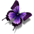 Other-Butterfly-icon.png