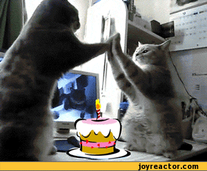 cats-birthday-cake-candles-sandbox-364182.gif