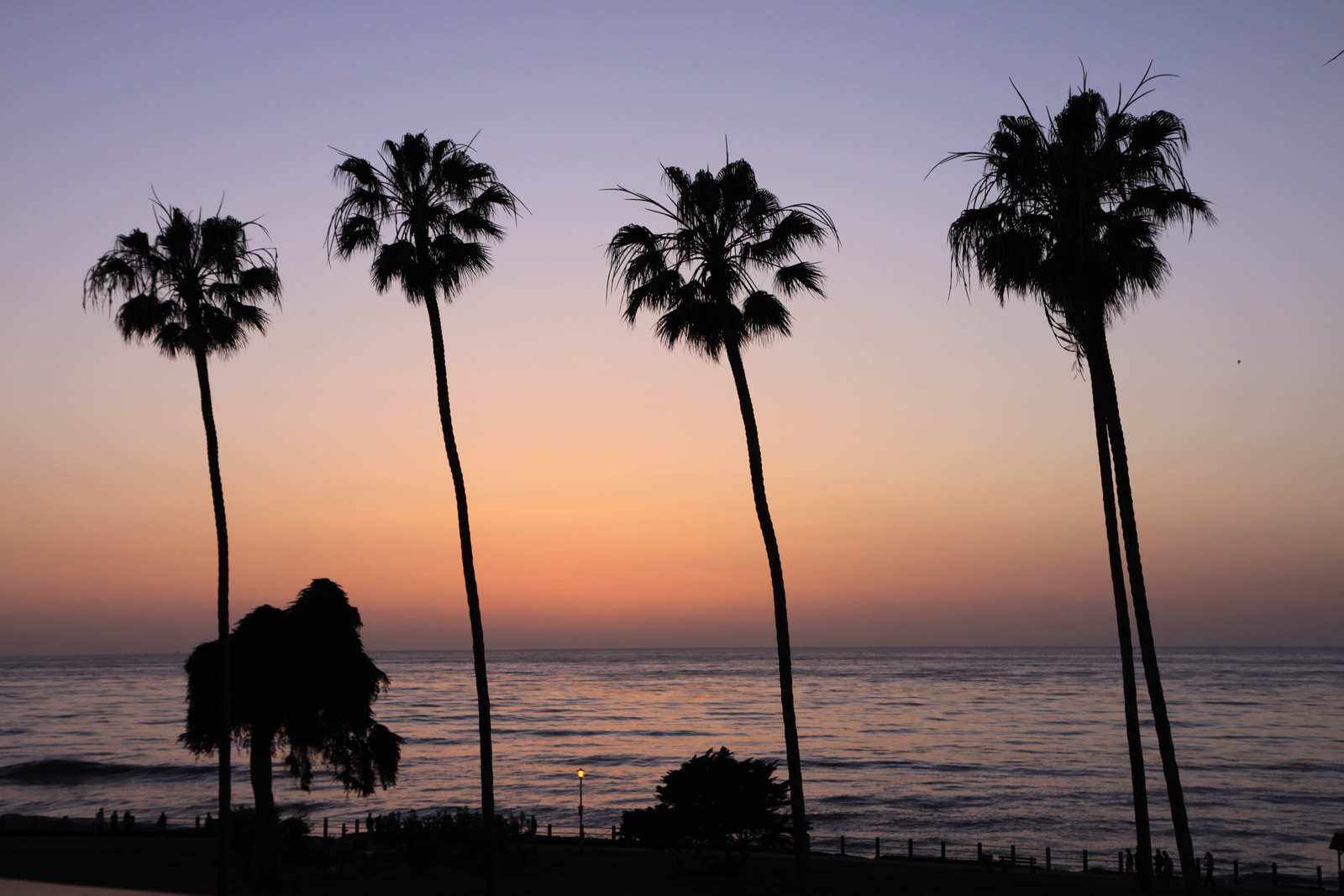 lajolla_sunset.jpg