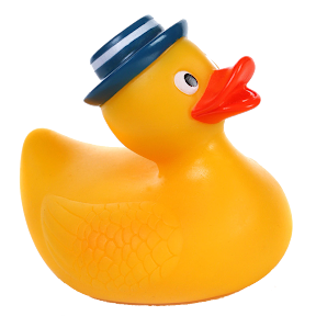 rubber-duck%25255B1%25255D.jpg