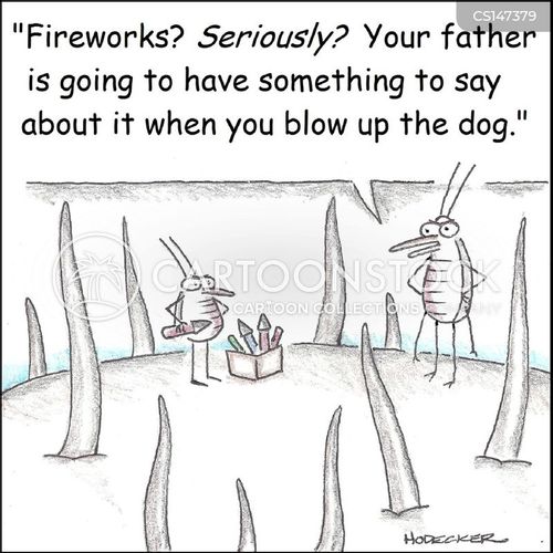 animals-firework-flea-dog-canine-pet-ehon148_low.jpg