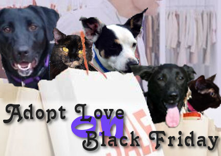 black-friday-apljpg-133acc4113ddf6dd_large.jpg