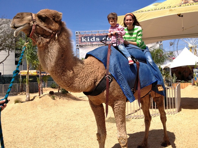 RodeoHouston_family_friendly_attractions_March_2013_camel_ride.jpg