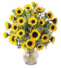 smaller-sunflower-bouquet.jpg