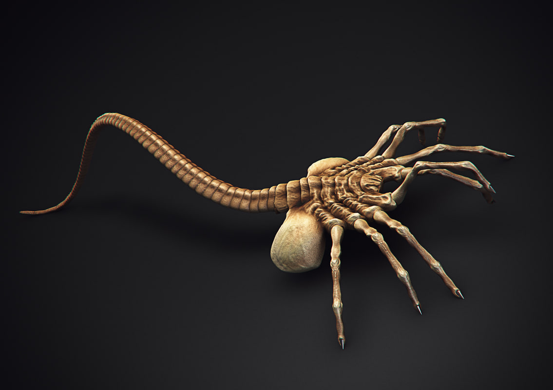 facehugger_Final.jpgf22c5a2e-a2a0-4d52-bb8b-0d55edb30479Original.jpg