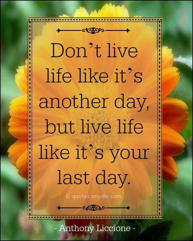 picture-quotes-to-live-your-life-by.jpg