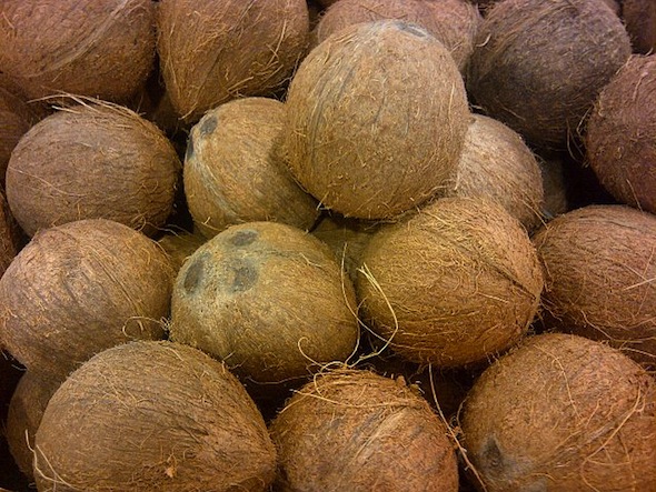 640px-Coconut_123.jpg