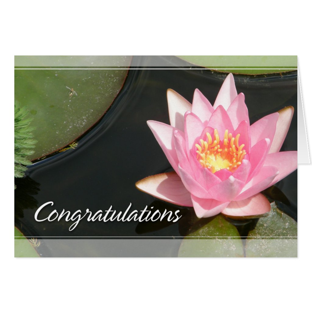 lotus_flower_waterlily_congratulations_card-r6845b1412f0a401ea5533b46572e65e2_xvuak_8byvr_1024.jpg