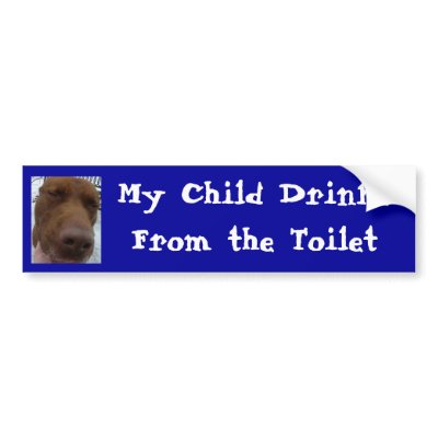 my_child_drinks_from_the_toilet_bumper_sticker-p128556679124284509trl0_400.jpg