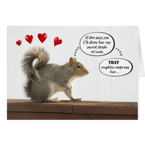 squirrel_that_oughta_impress_her_valentine_card-r897c1659ebd64c85a52949a112a1ca79_xvuak_8byvr_512.jpg