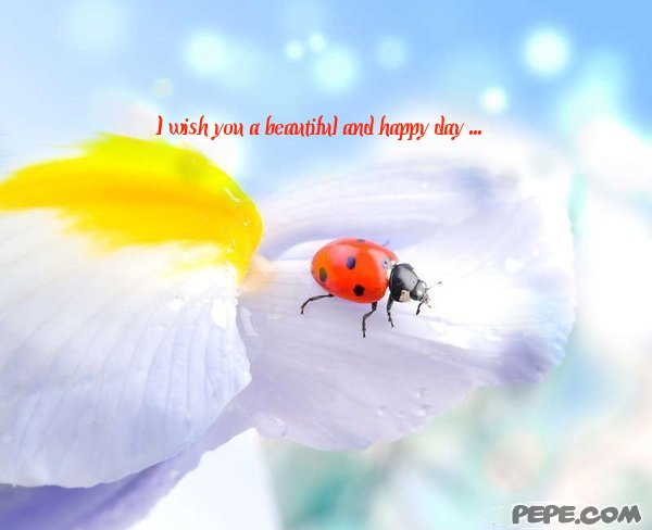 i_wish_you_a_beautiful_and_happy_day_0.jpg