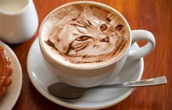 cat-latte-art-3.jpg
