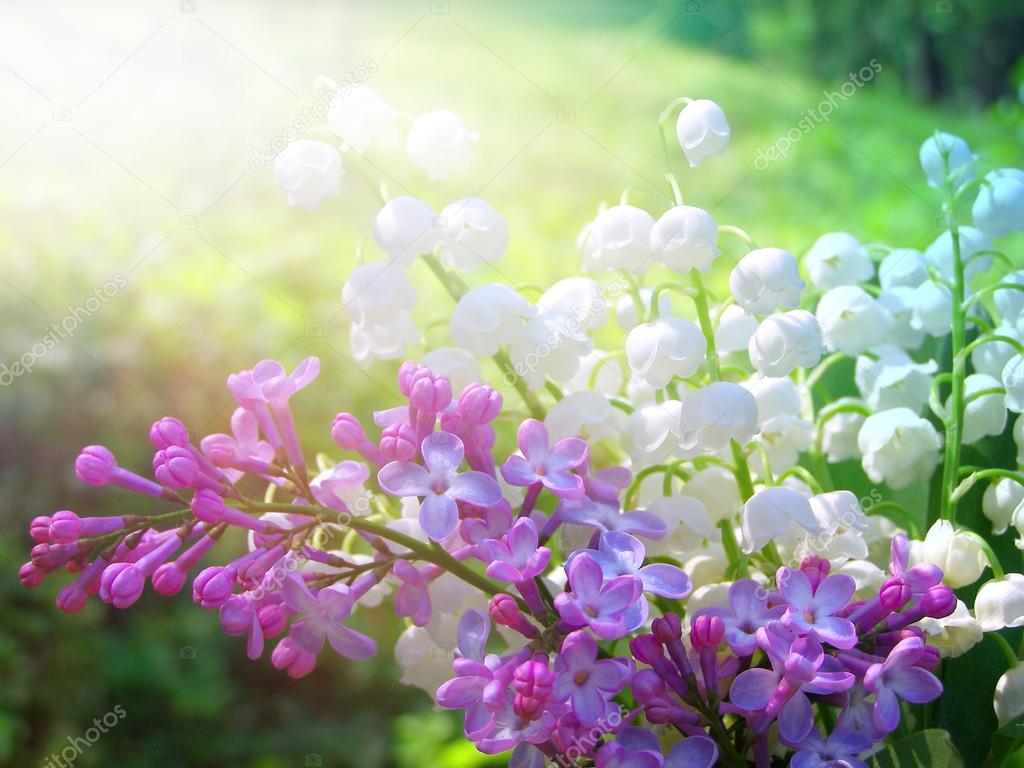 depositphotos_12880683-Lilly-of-the-Valley-and-spring-lilac-flowers-bouquet.jpg